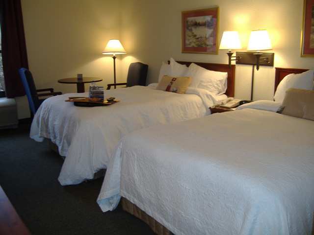 Wyndham Garden Greenville / Spartanburg Airport Room photo